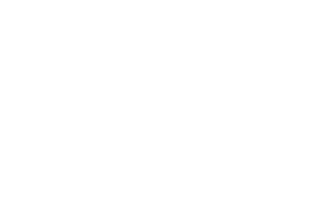 Biz Katwijk